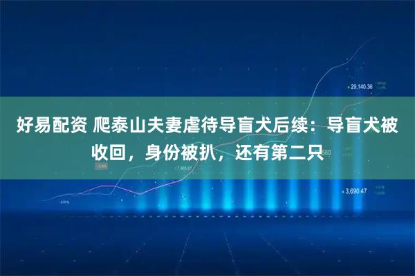 好易配资 爬泰山夫妻虐待导盲犬后续：导盲犬被收回，身份被扒，还有第二只