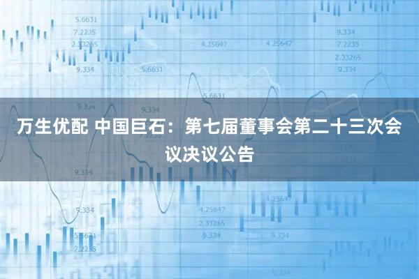万生优配 中国巨石：第七届董事会第二十三次会议决议公告
