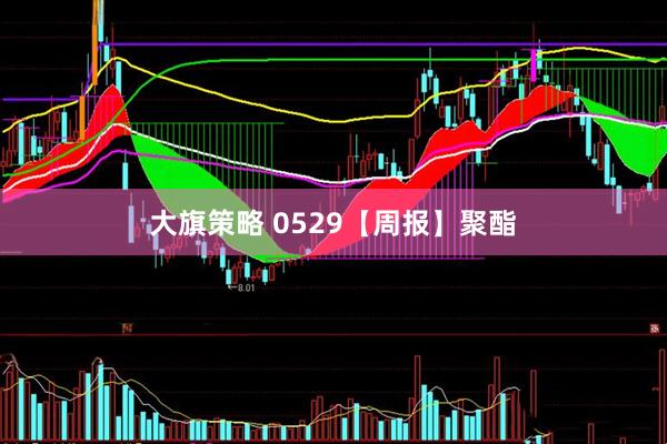 大旗策略 0529【周报】聚酯