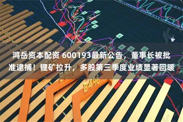 鸿岳资本配资 600193最新公告,董事长被批准逮捕!锂矿拉升,多股第三季度业绩显著回暖
