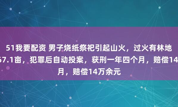 51我要配资 男子烧纸祭祀引起山火，过火有林地面积167.1亩，犯罪后自动投案，获刑一年四个月，赔偿14万余元