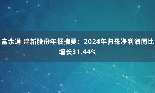 富余通 建新股份年报摘要：2024年归母净利润同比增长31.44%